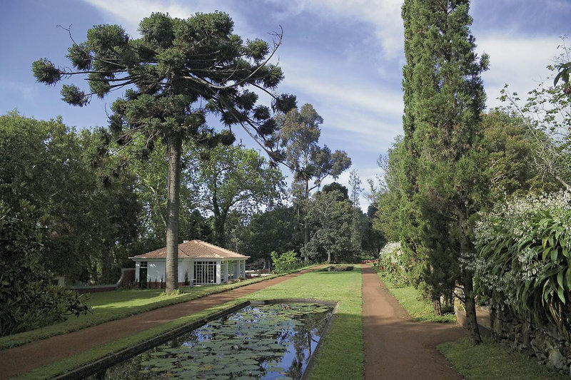 Casa Velha do Palheiro 3