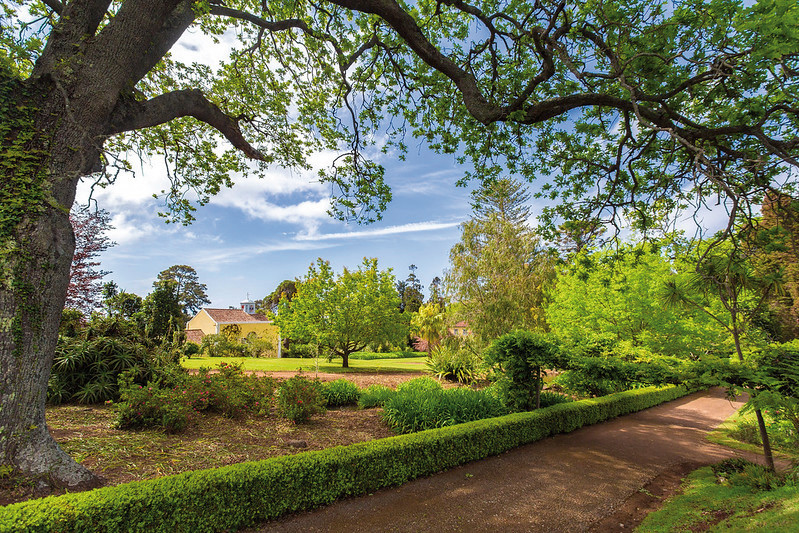 Casa Velha Do Palheiro 38
