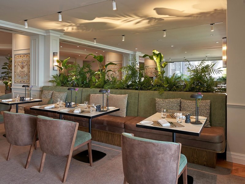 The Cliff Bay 30