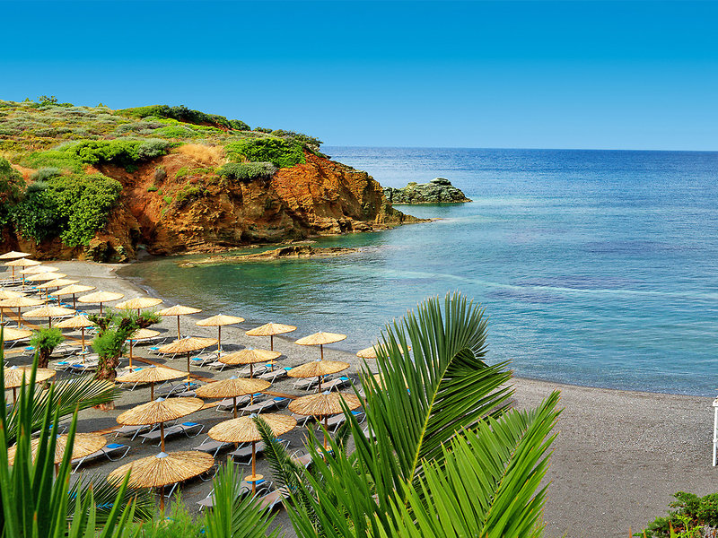 Out Of The Blue Resort 2