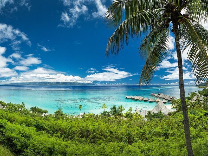 Sofitel Moorea La Ora Beach Resort 8