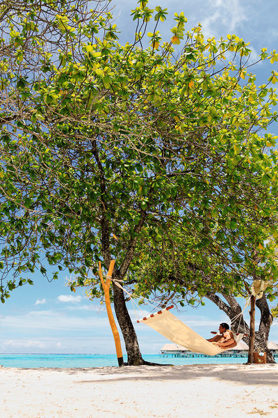 Sofitel Moorea La Ora Beach Resort 10