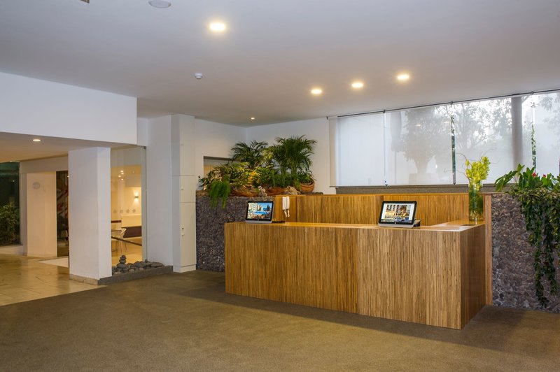 Dorisol Estrelicia 12