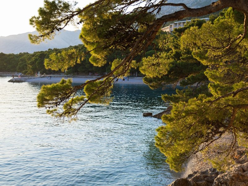 Bluesun Hotel Soline 8