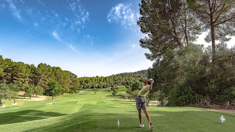 Castillo Son Vida, A Luxury Collection Hotel 3