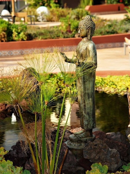 Quinta Splendida - Wellness & Botanical Garden 7 - Landscape