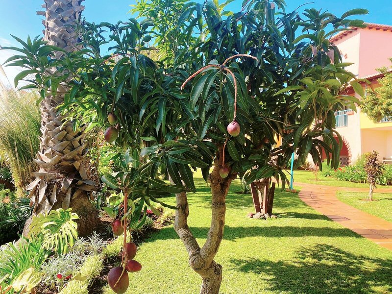 Quinta Splendida - Wellness & Botanical Garden 13 - Landscape