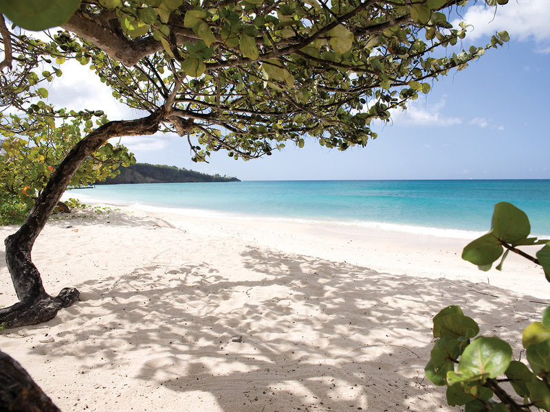 Spice Island Beach Resort 8