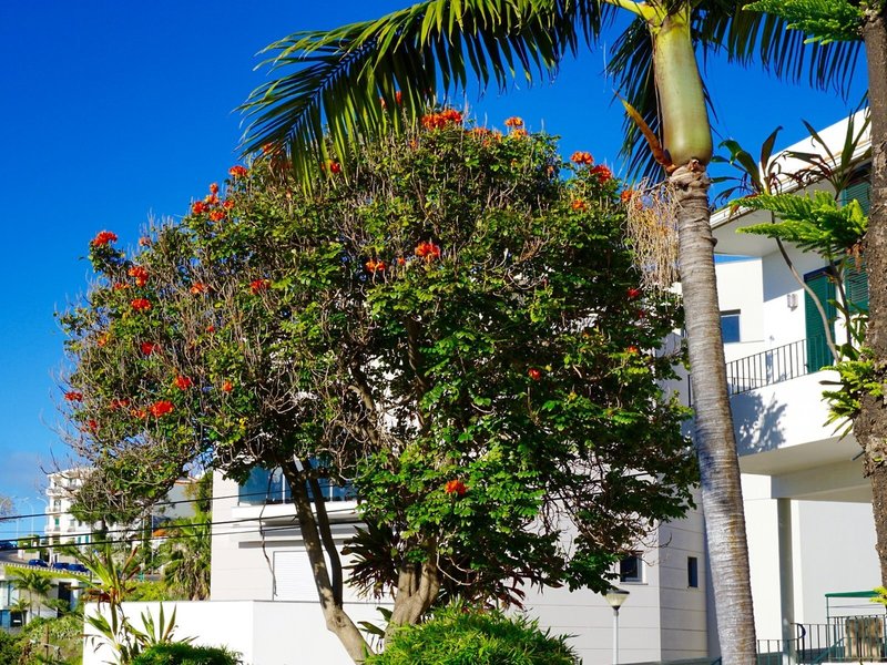 Vila Camacho Guest House 5