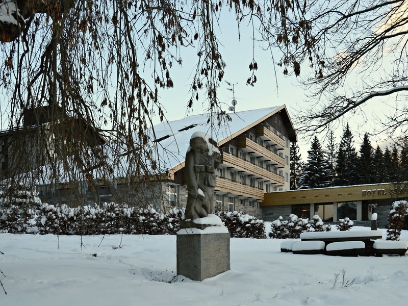 Srni 11