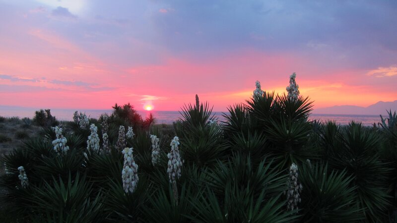 St.George´s Bay Country Club 44