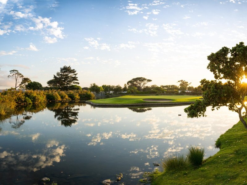 Steenberg 29