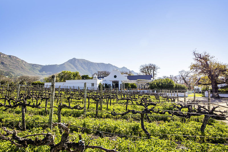 Steenberg 1
