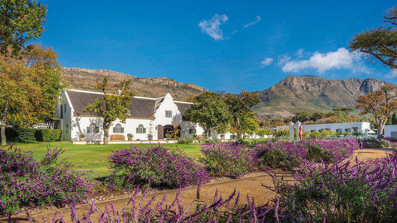 Steenberg 6