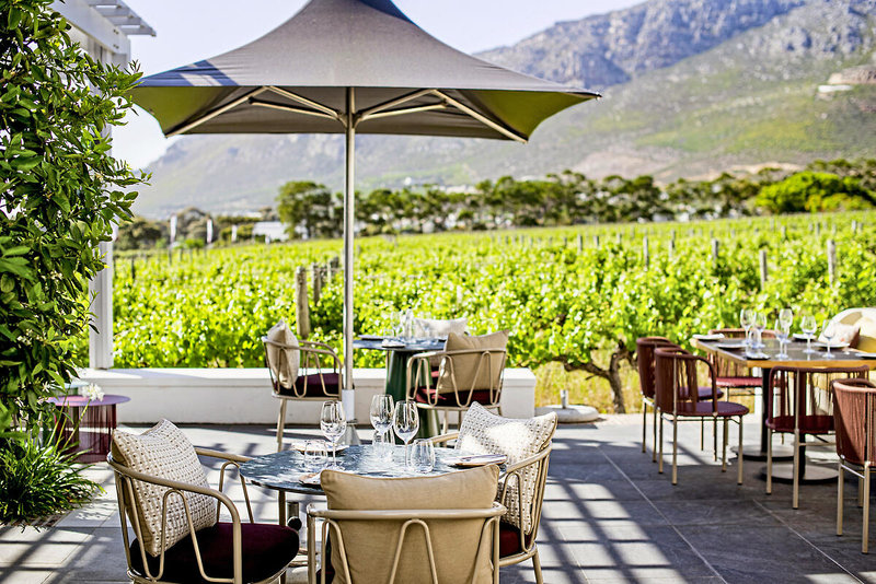 Steenberg 21