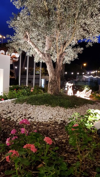 Santa Cruz Village Hotel 22