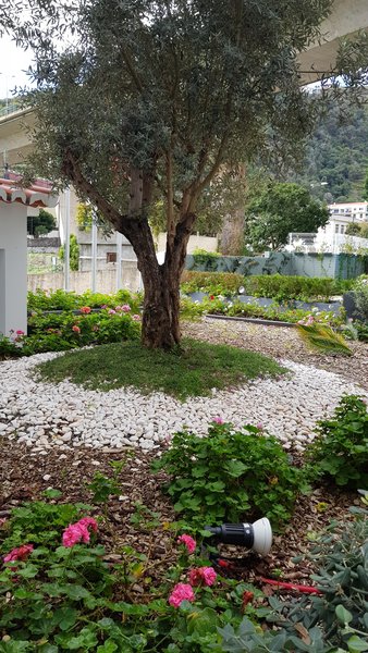 Santa Cruz Village Hotel 38