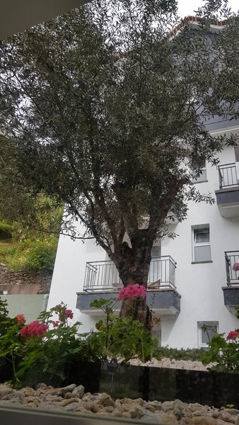 Santa Cruz Village Hotel 39