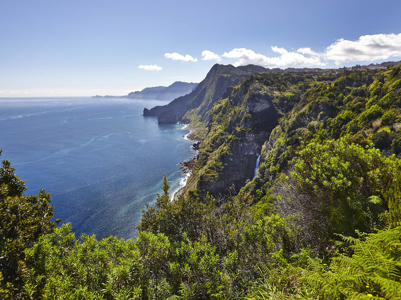Quinta Do Furao 10 - Landscape