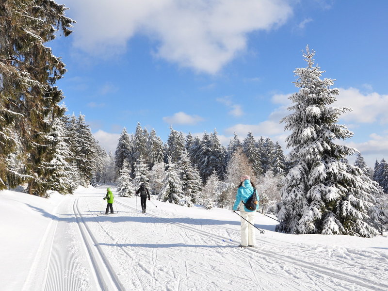 AHORN Waldhotel Altenberg 8