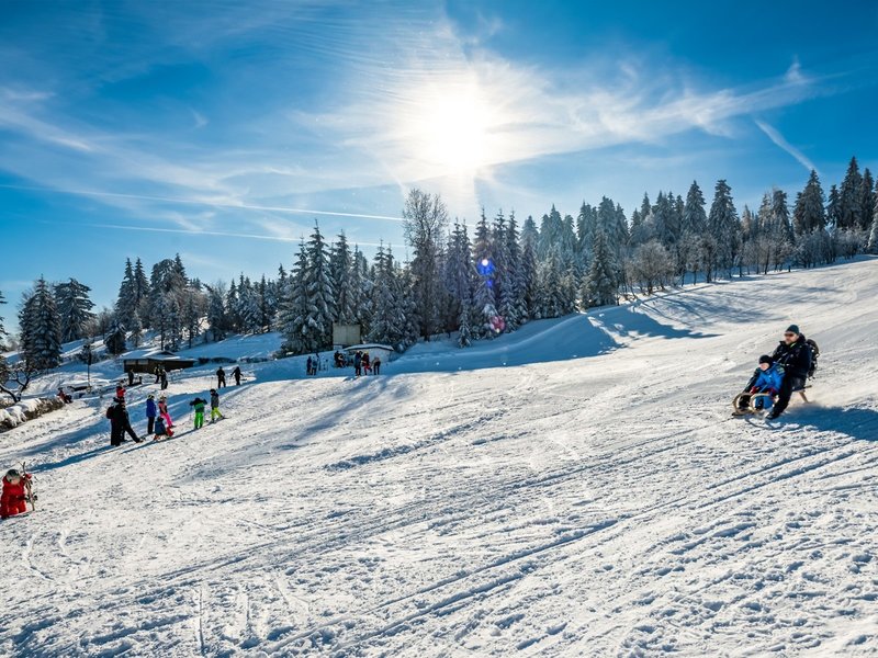 AHORN Waldhotel Altenberg 11