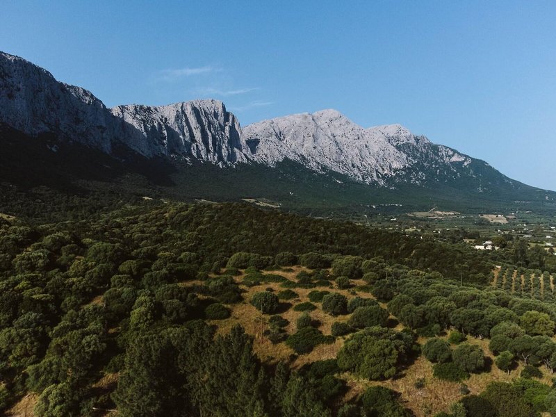 Su Gologone 4 - Landscape