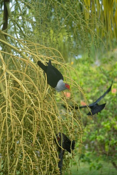 La Digue Island Lodge 10