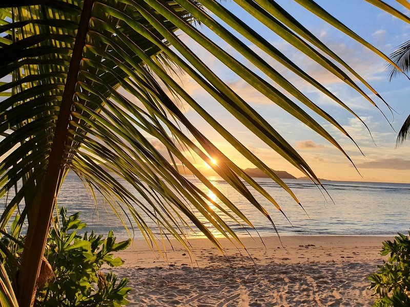 La Digue Island Lodge 13