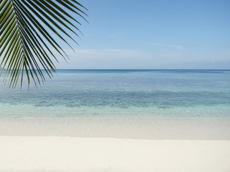 AVANI Seychelles Barbarons Resort & Spa 3