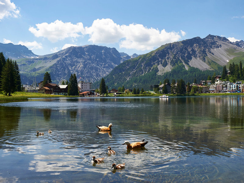 Sunstar Alpine Hotel Arosa 6