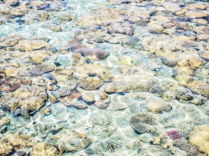 Dive Inn Resort 7