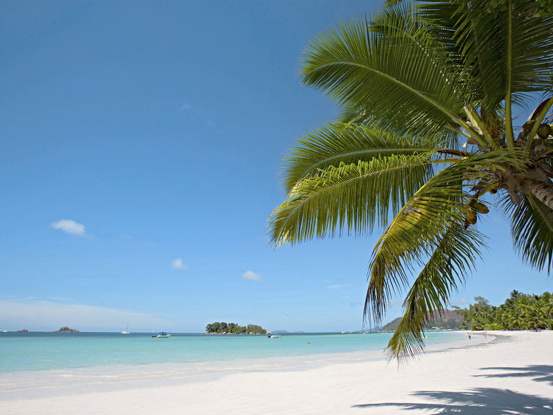 Paradise Sun Hotel 4