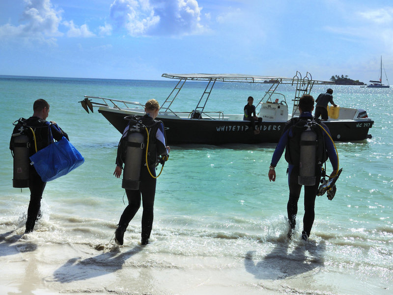 Paradise Sun Hotel 30