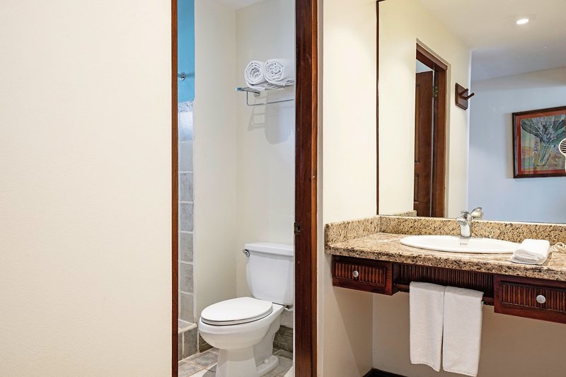 Tamarindo Diria Beach Resort 14