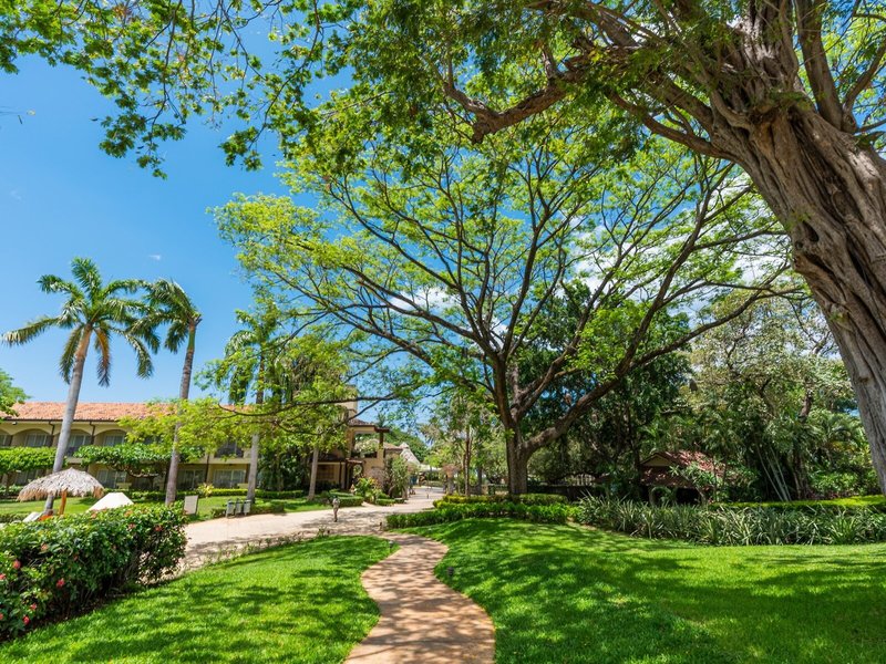 Tamarindo Diria Beach Resort 25 - Garden
