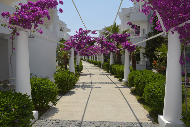 Bendis Beach Hotel 2