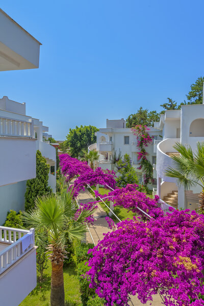 Bendis Beach Hotel 3