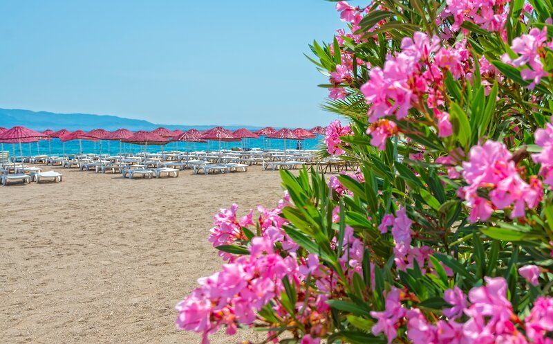 Bendis Beach Hotel 8