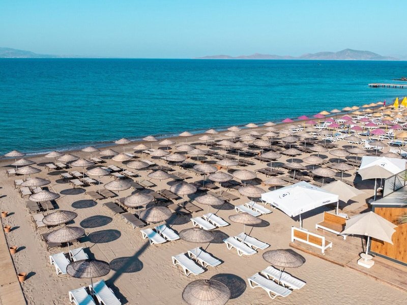 Bendis Beach 5