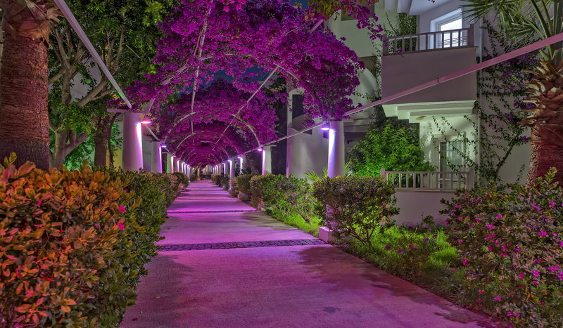 Bendis Beach Hotel 7