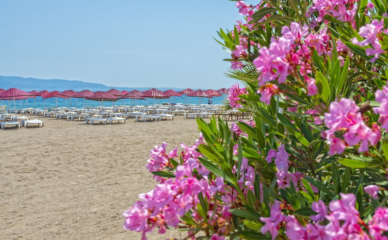 Bendis Beach Hotel 16