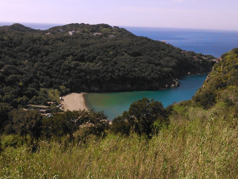 Albergo La Reginella Resort & SPA 7