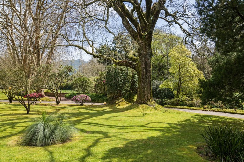 Terra Nostra Garden 9