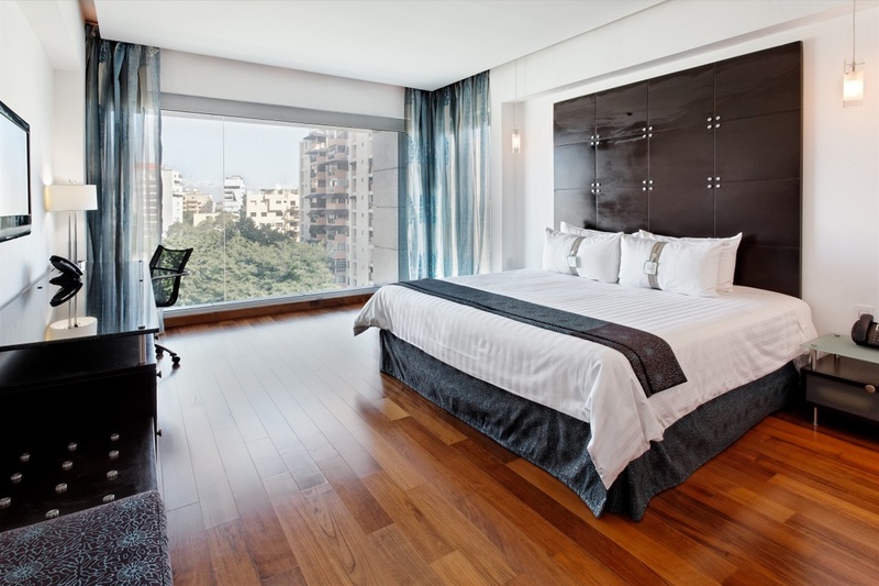 Holiday Inn Santo Domingo 5