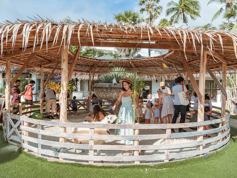 Thavorn Palm Beach 40