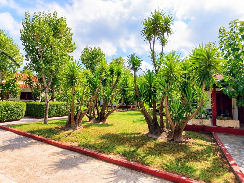 Alykes Park 1