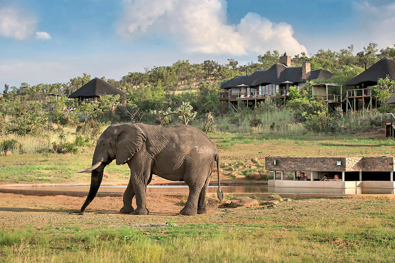 Mhondoro Lodge 2