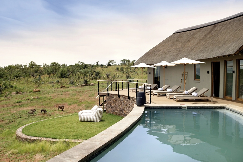 Mhondoro Lodge 6