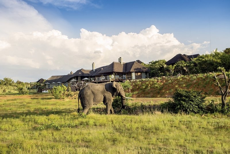 Mhondoro Lodge 21