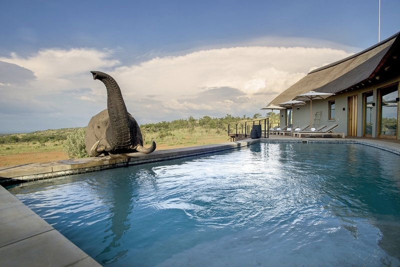 Mhondoro Lodge 22